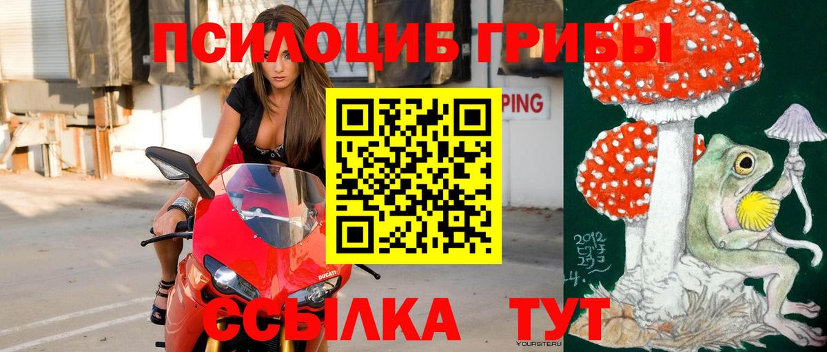 Псилоцибиновые грибы прущие грибы Орск