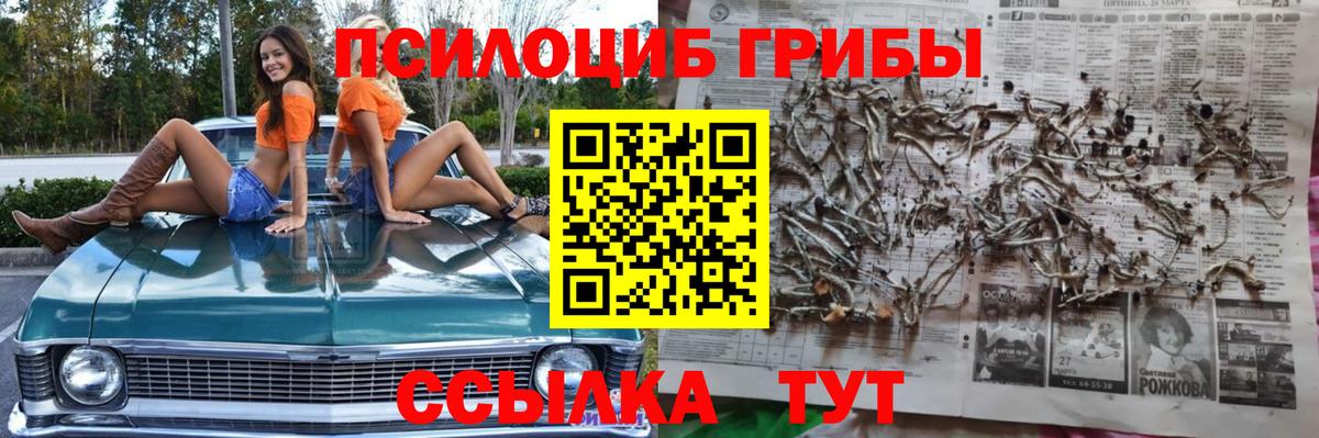 Орск  Галлюциногенные грибы прущие грибы  Вход с VPN 